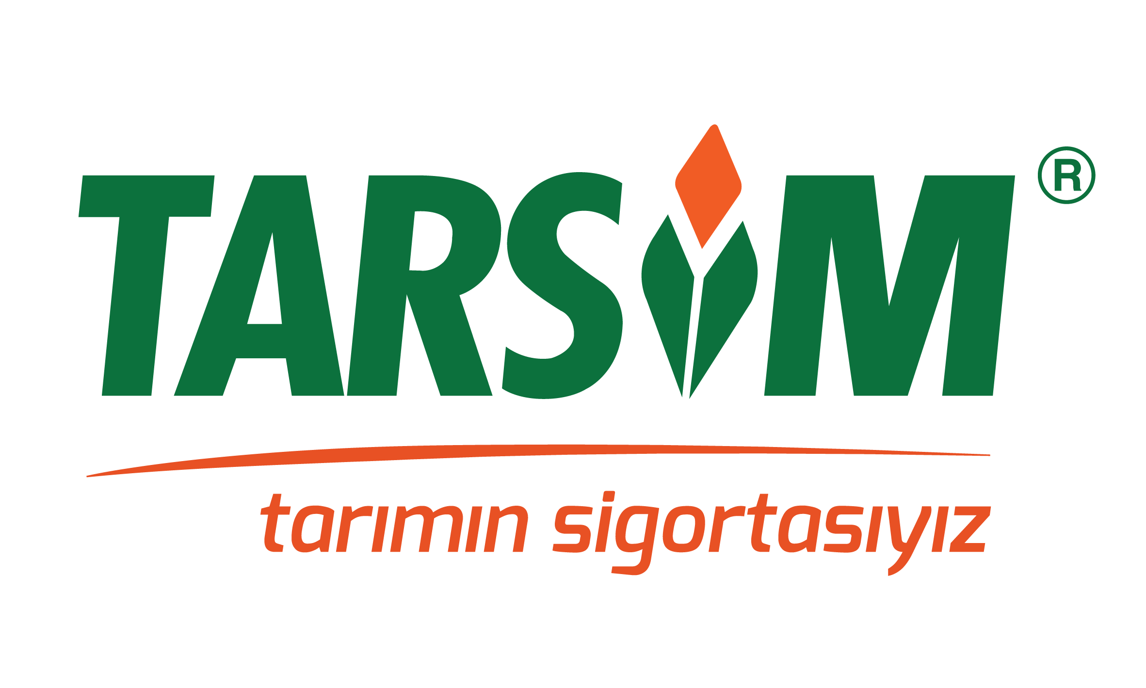 Tarim